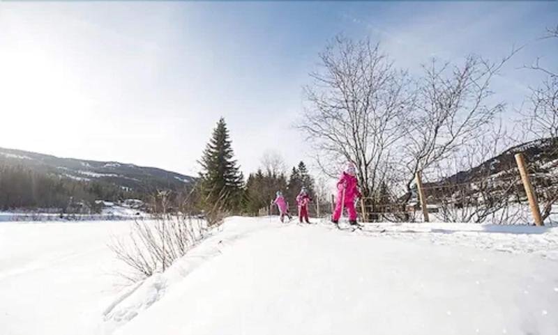 Topcamp Hallingdal - Al