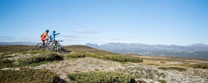 Topcamp Hallingdal - Al
