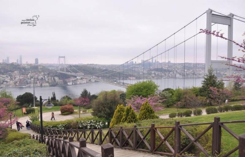Medellin Apart Hotel Istanbul image