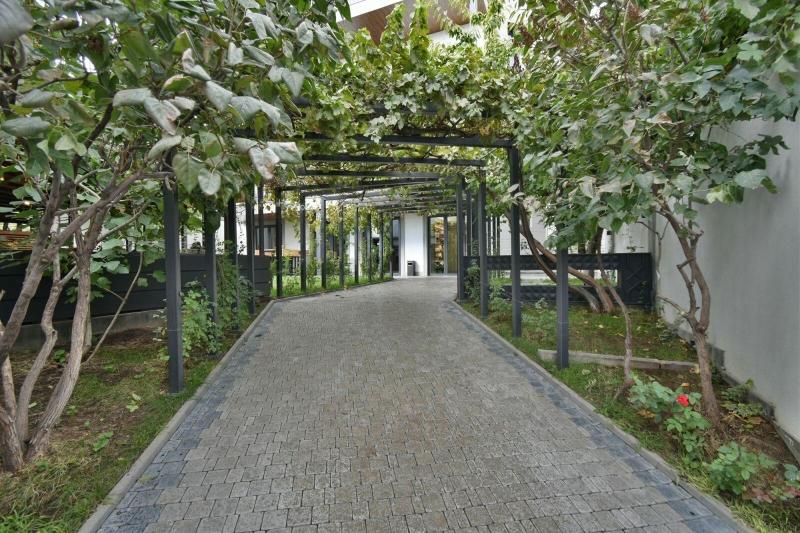 Andor Hotel image