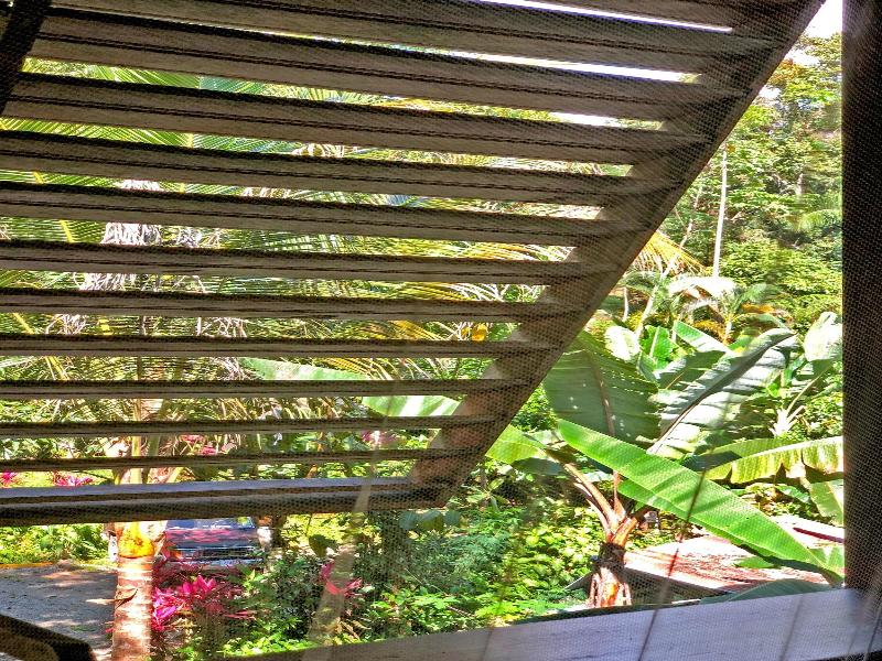 Hostel Cascada Verde image