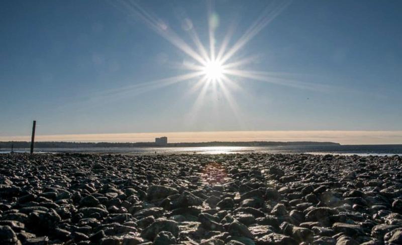 Hotel Garni Cuxhaven Lerche image