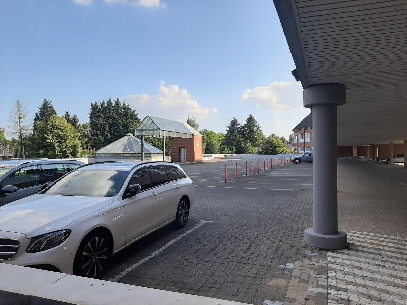 Siebenschlafer am Wasserturm image
