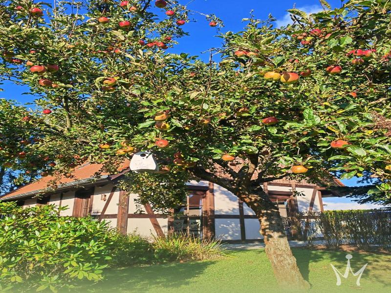 Pension Kleiner Konig image