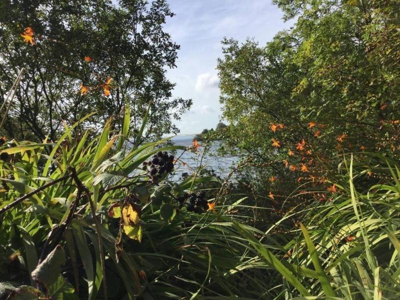 Ryan's River Lodge B&B — photo 4