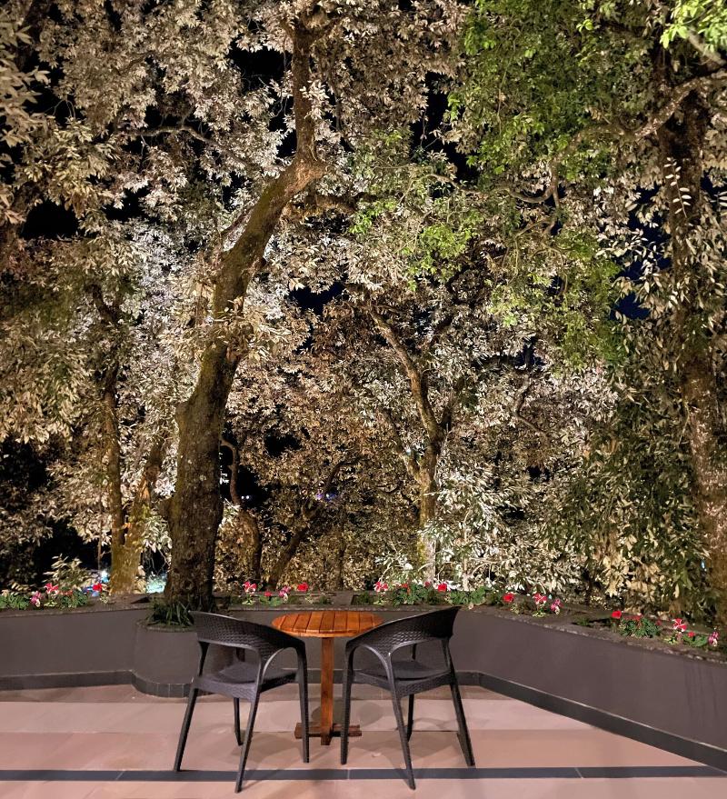The Rosefinch Sarovar Portico image