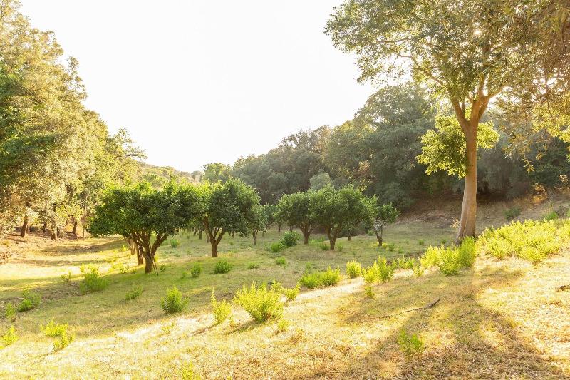 Agriturismo Club Le Cannelle image