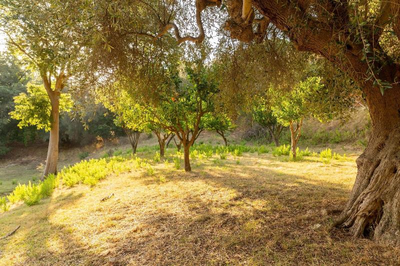 Agriturismo Club Le Cannelle image