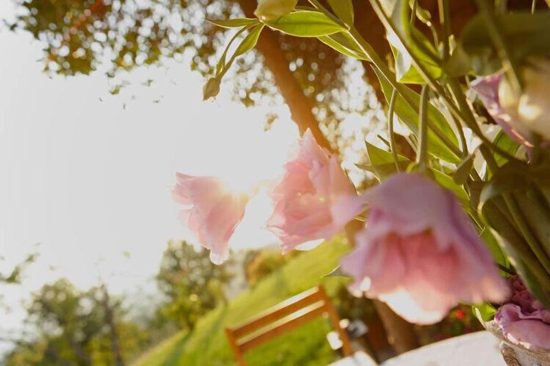 Agriturismo Podere Picciolo — main photo