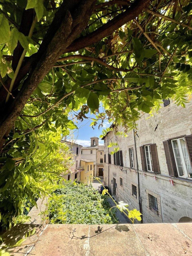 L' Orto degli Angeli — photo 4