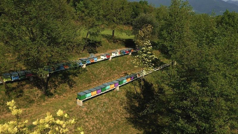 Agriturismo Borgo il Mezzanino — photo 3