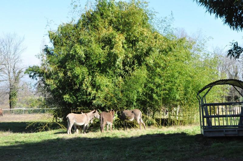 Agriturismo Cascina Reciago image