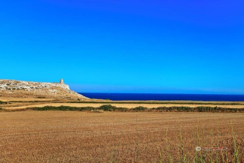 Agriturismo Masseria Terra D'Otranto image
