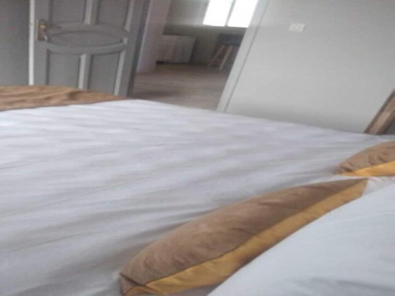 Hamilton Suites & Appart image
