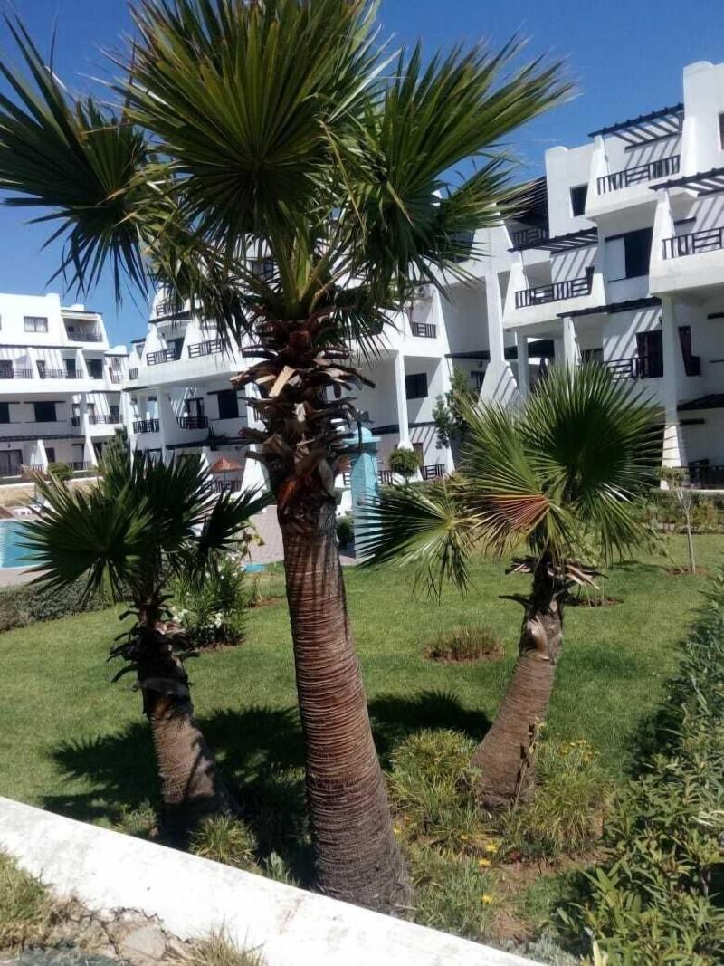 Residence Tamuda Golf — photo 4
