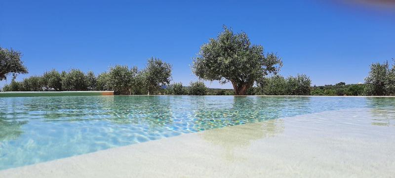 Quinta da Soneca-Turismo Rural Lda image