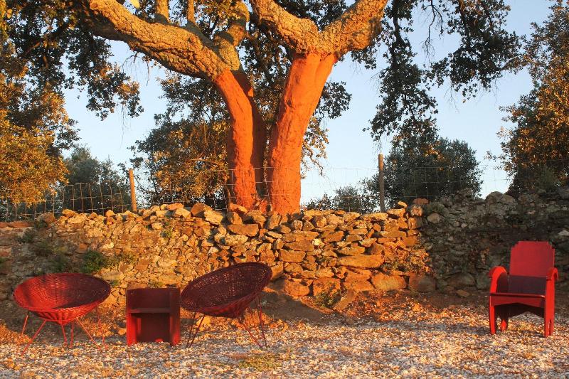Quinta da Soneca-Turismo Rural Lda image