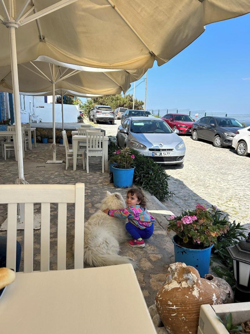 Onal Tas Konak image