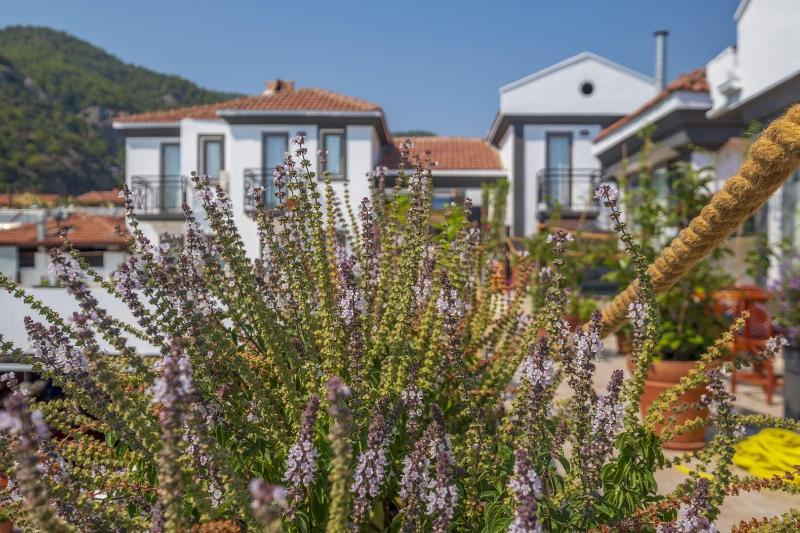 On Oda Oludeniz image