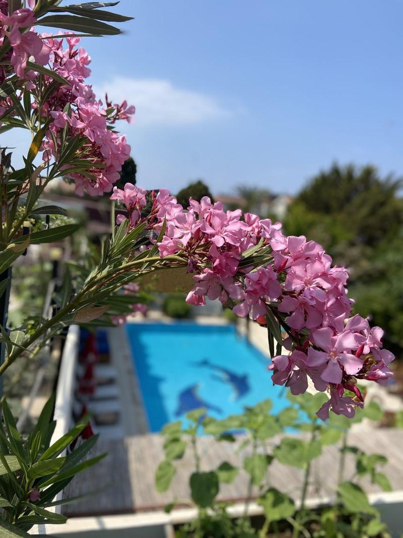 On Oda Oludeniz image