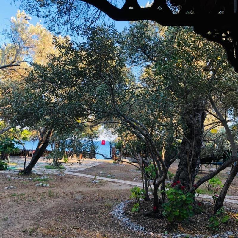 Datca Masal Gibi image