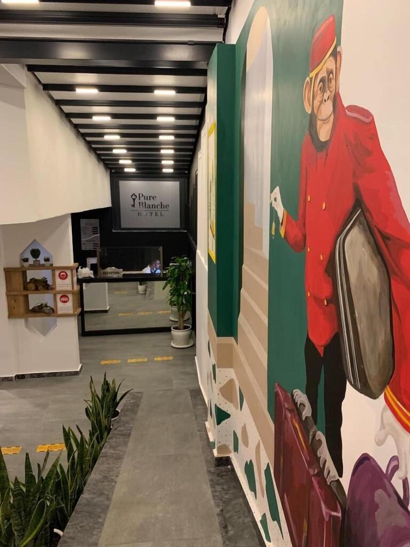 Pure Blanche Hotel image