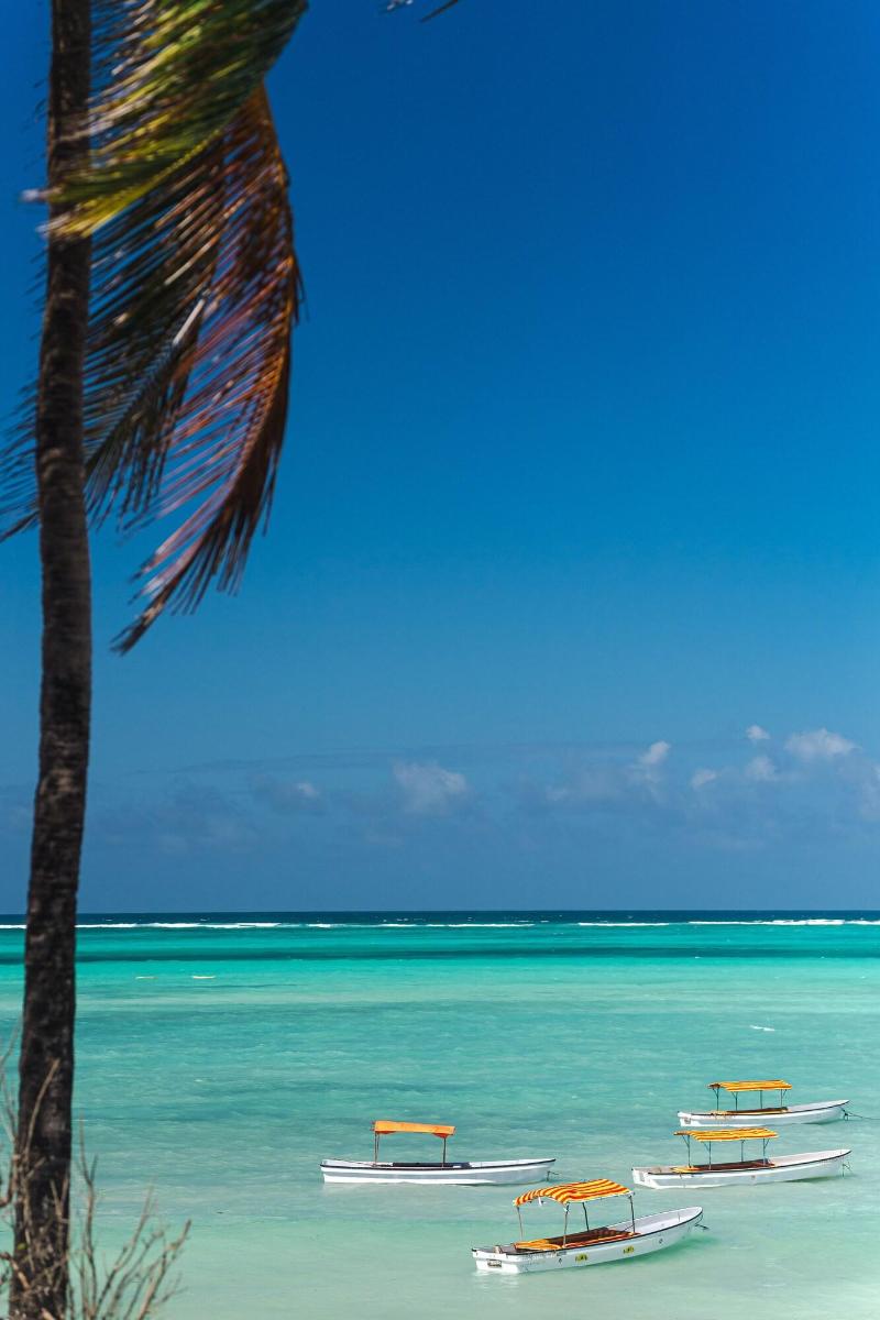 Shanuo Beach Bungalows image