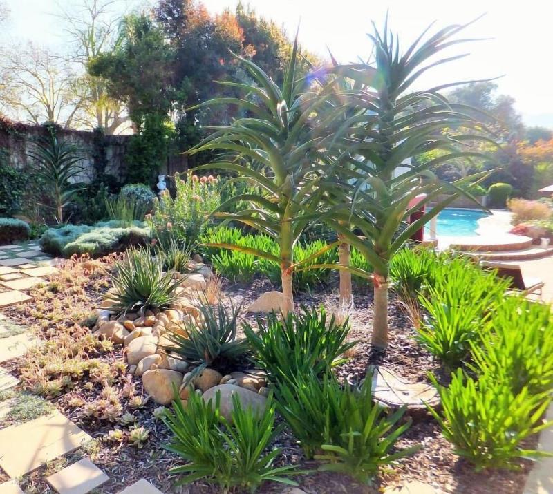 Cape Valley Manor Guest House — photo 4