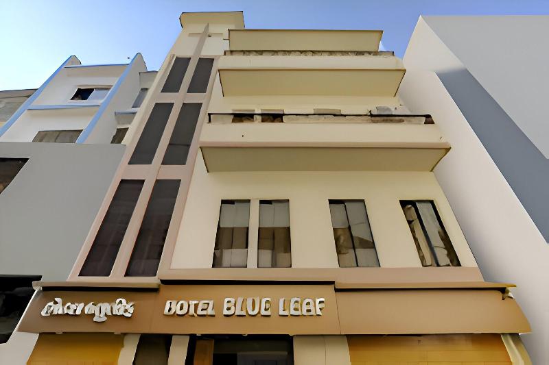 OYO RJT103 Hotel Blue Leaf — photo 3