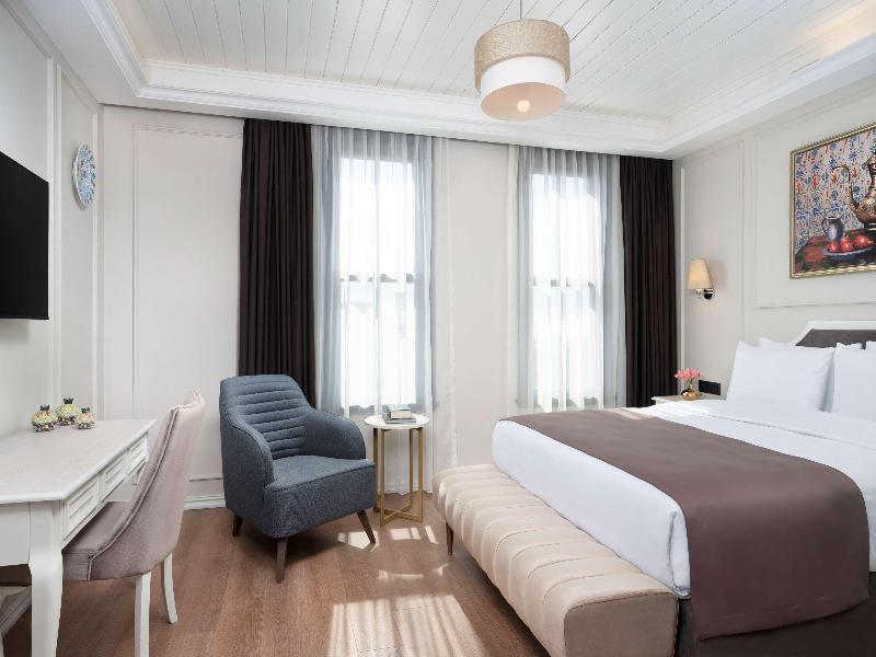 Royan Hagia Sophia Istanbul, Radisson Individuals image