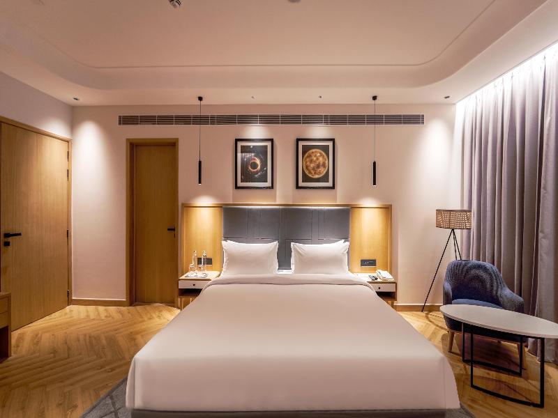 Radisson Hotel Nathdwara image