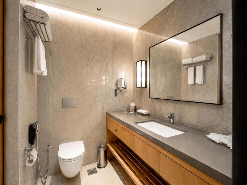 Radisson Hotel Nathdwara image