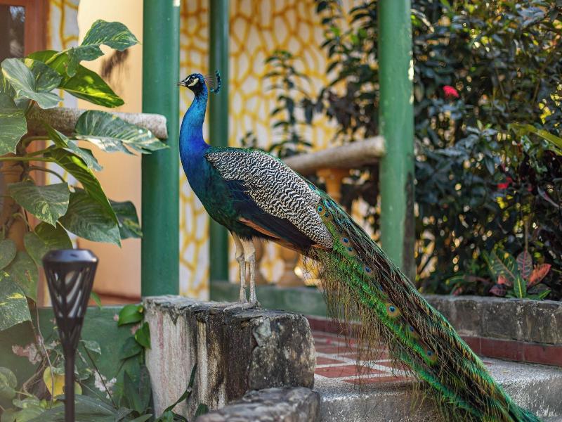 Hotel Portales del Tayrona image