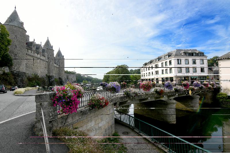 Logis Hotel du Chateau image