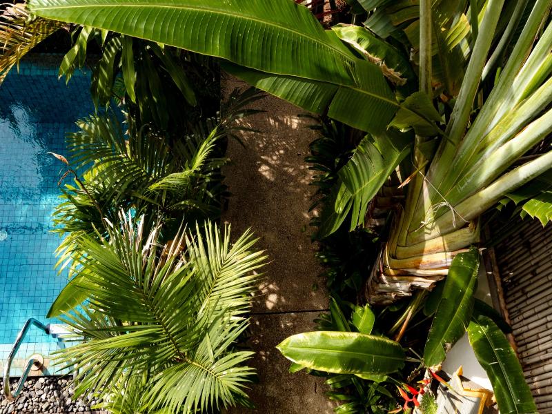 Baahu Villa 4
