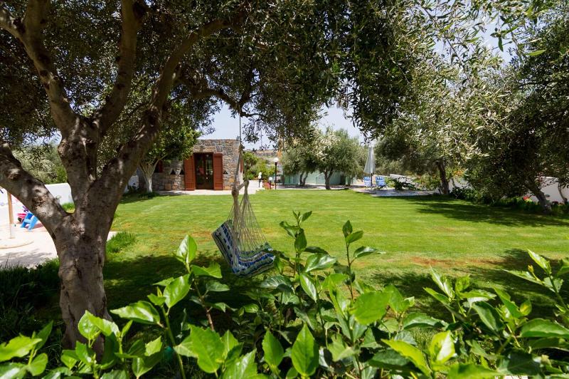 Athena Villas Olive Grove & Estate image