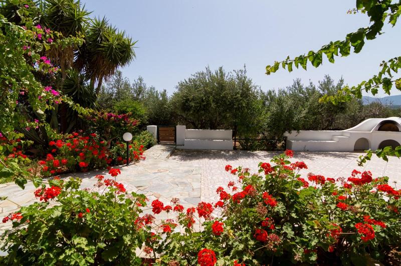 Athena Villas Olive Grove & Estate image