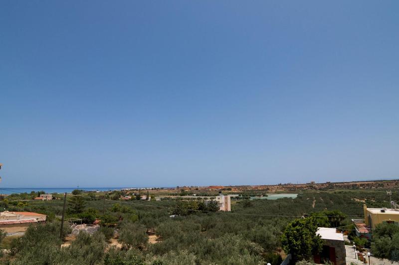 Athena Villas Olive Grove & Estate image
