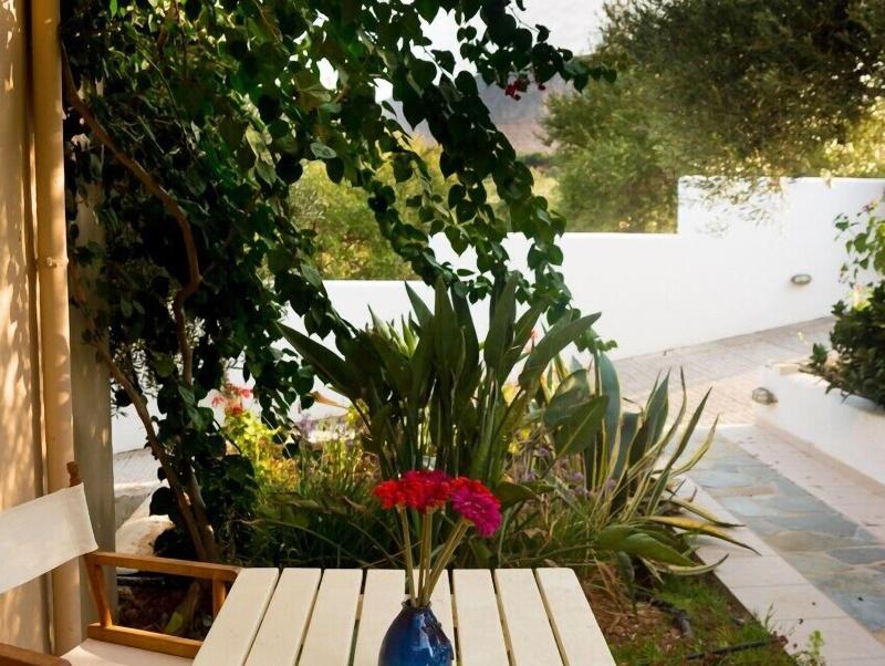 Athena Villas Olive Grove & Estate image