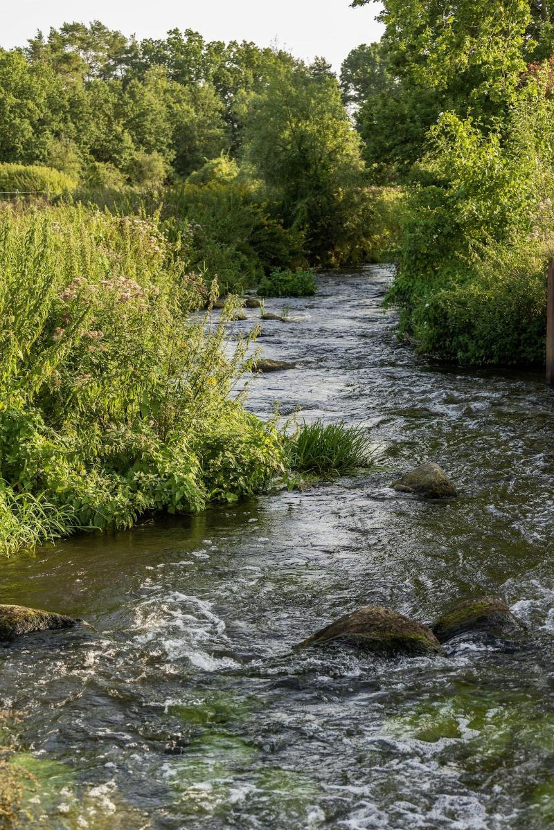 Wildland Natural Resort image