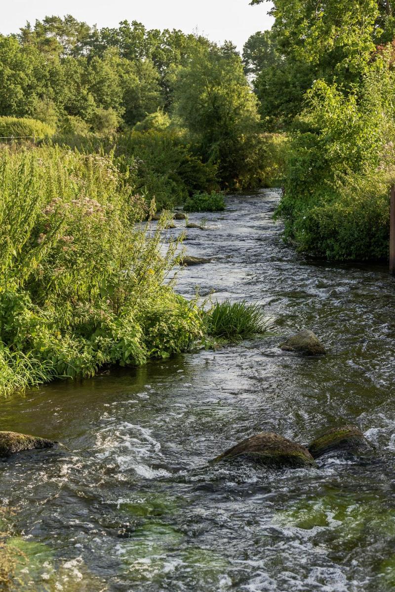 Wildland Natural Resort image