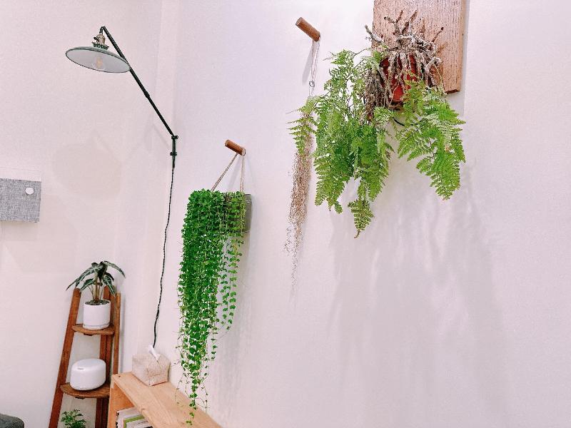 Gardenstay image