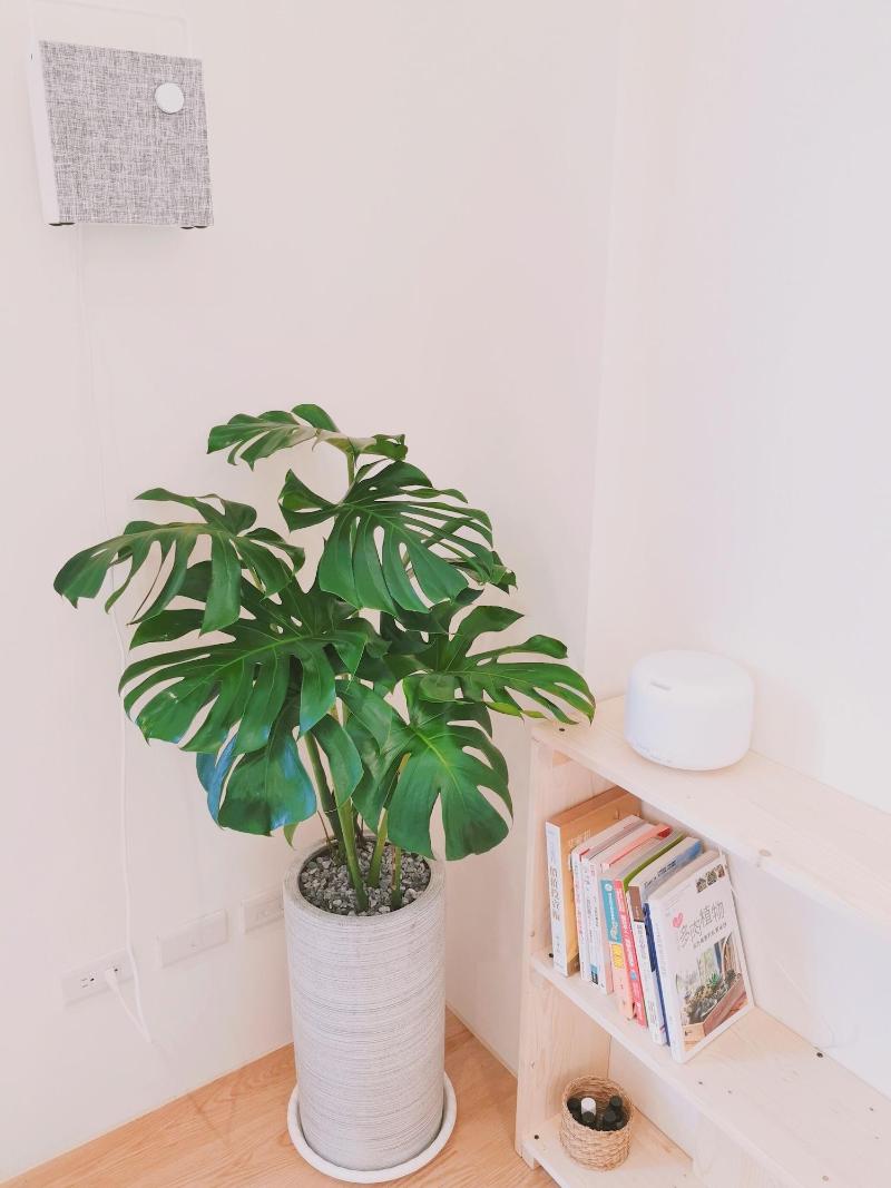 Gardenstay image