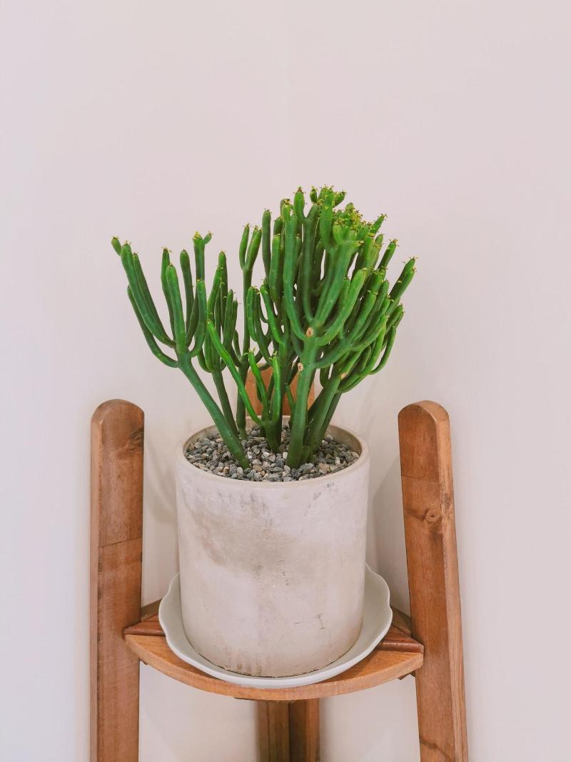 Gardenstay image