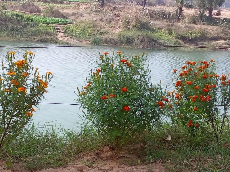 Neel Nirjan Resort