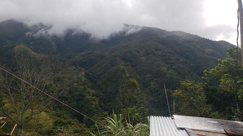 Jay's Guest House II image