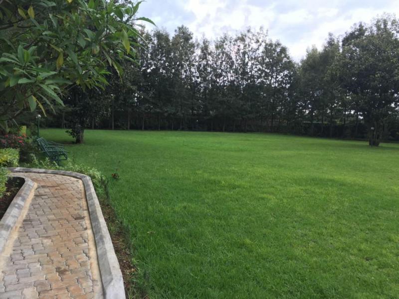 Greenwoods Resort and Campsite image