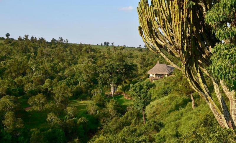 Olepangi Farm image