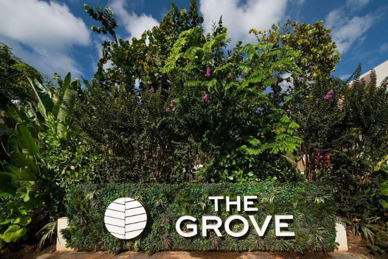 The Grove image