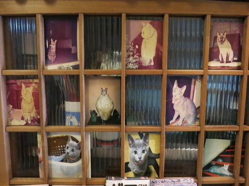 Fujiya Ryokan image